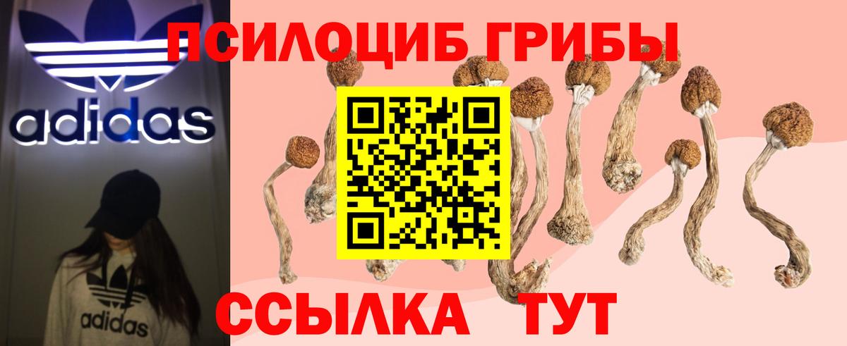 Галлюциногенные грибы Magic Shrooms Лиски